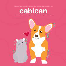 Cebican