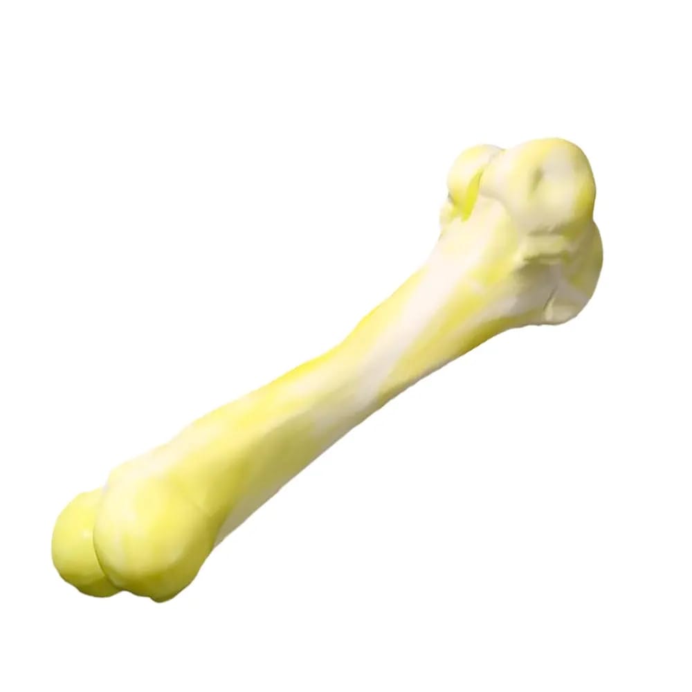 Dog bone chew toy - Image 6