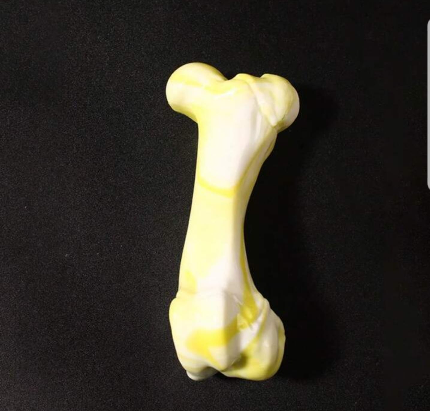 Dog bone chew toy - Image 2