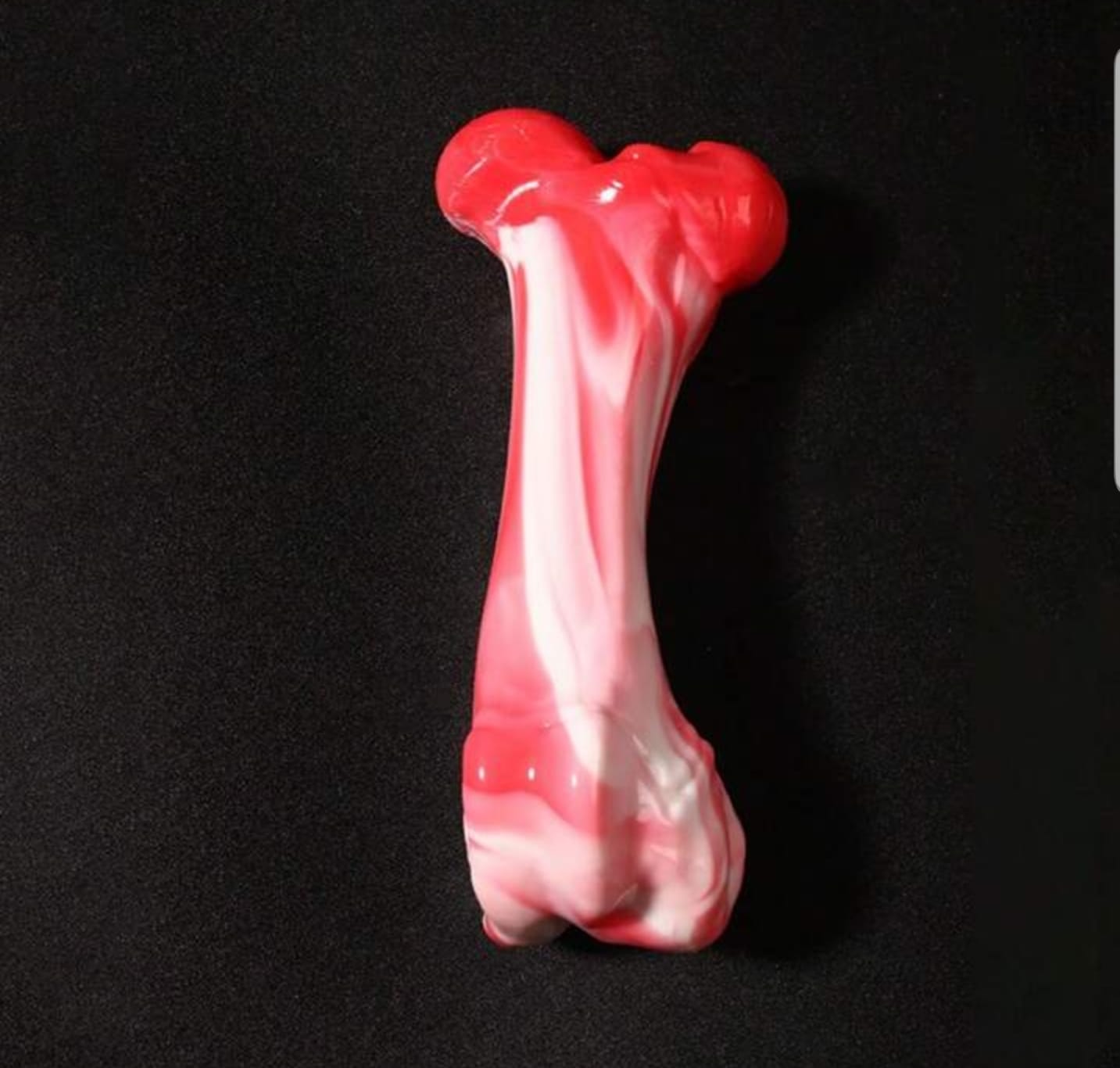 Dog bone chew toy - Image 3