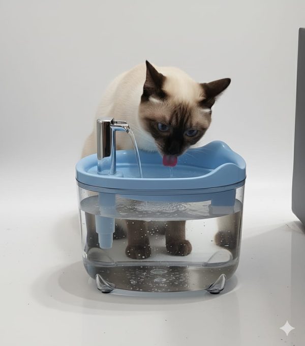 Water Fountain