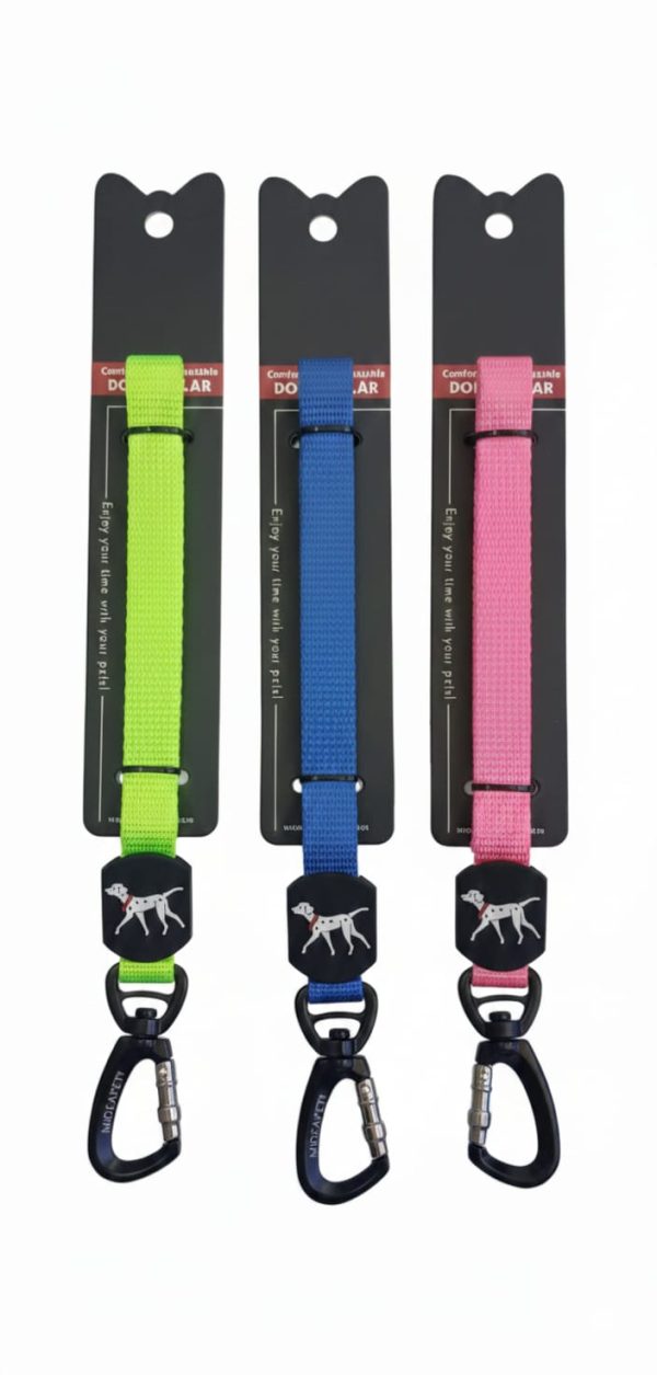 Pro-Safety Dog Leash