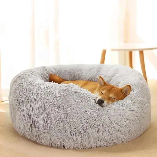 Beds